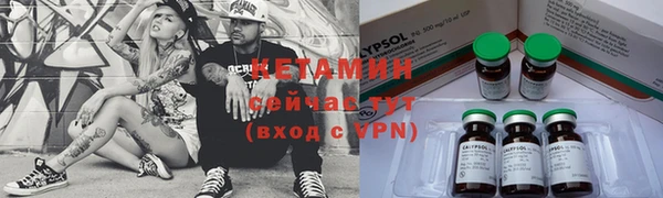 гашик Новозыбков