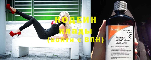 сатива Новокубанск