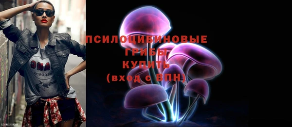 гашик Новозыбков