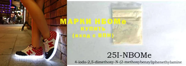 сатива Новокубанск