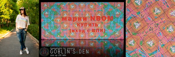 гашик Новозыбков