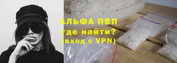 сатива Новокубанск