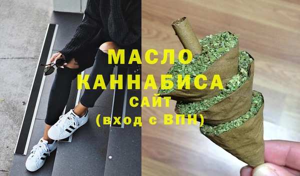 гашик Новозыбков