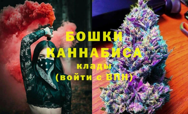 дурь Новодвинск