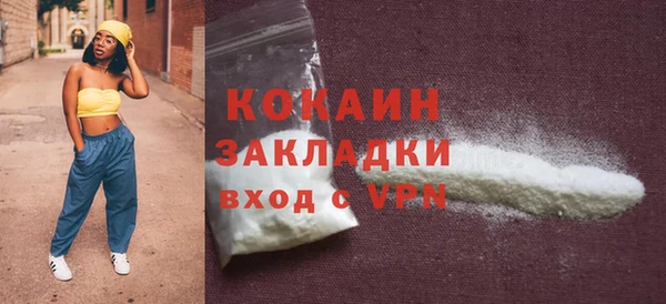 сатива Новокубанск