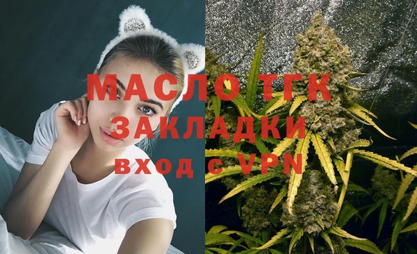 гашик Новозыбков