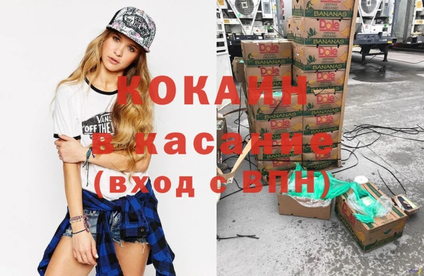 сатива Новокубанск