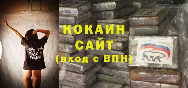 гашик Новозыбков