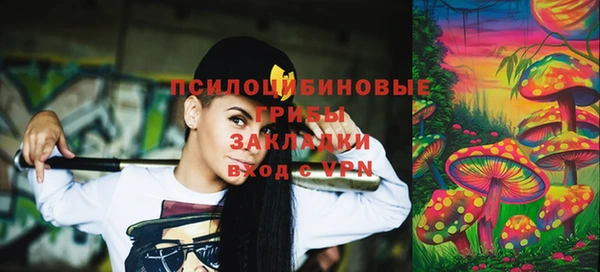 сатива Новокубанск