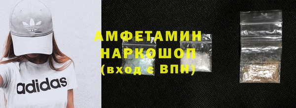 гашик Новозыбков