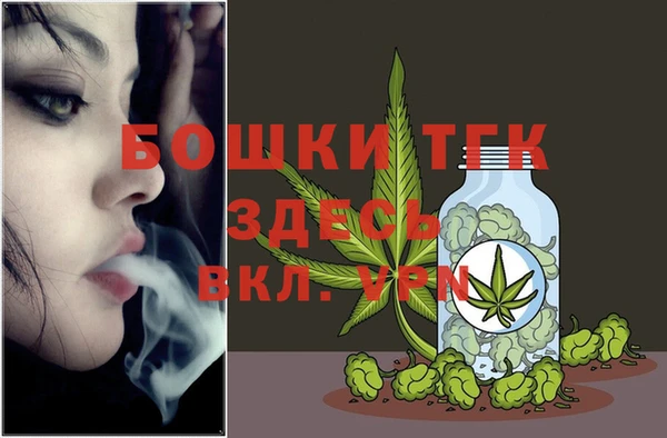 дурь Новодвинск