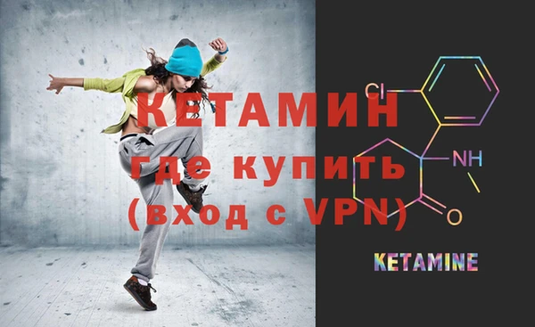 сатива Новокубанск