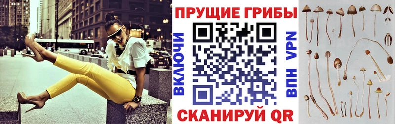 Галлюциногенные грибы мицелий  хочу наркоту  Берёзовка 
